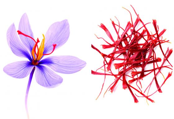 Saffron-Flower-red spice-Crocus sativus -Produce- Process