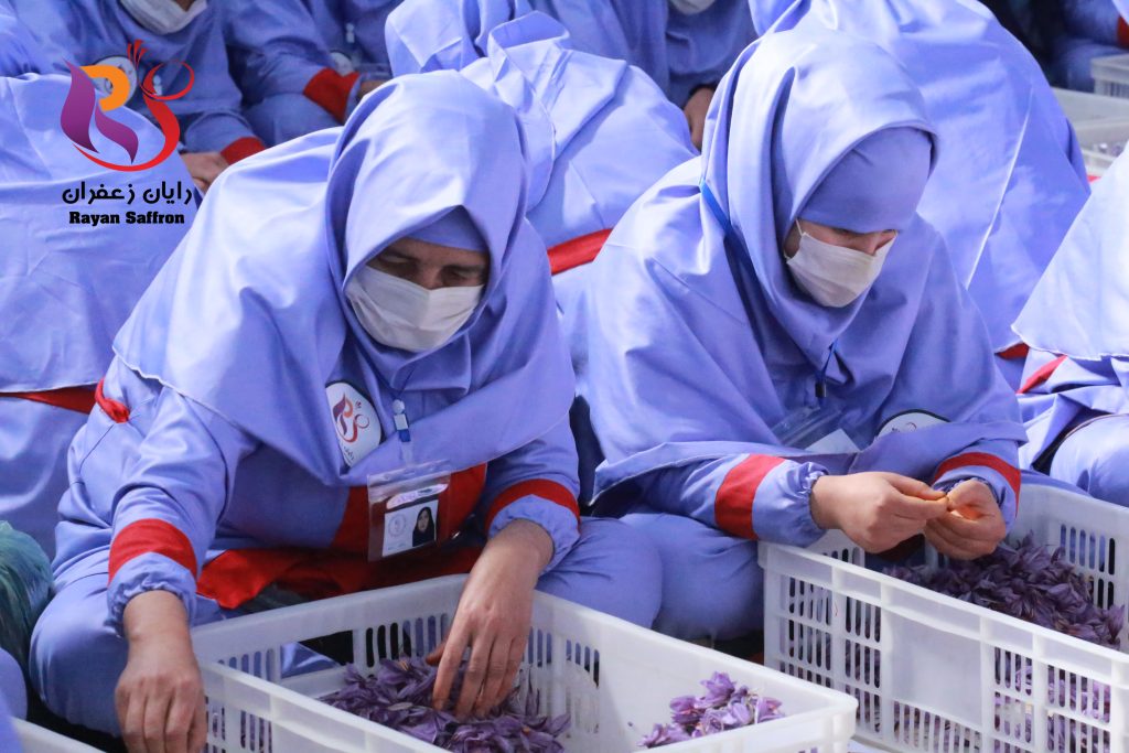 Saffron Flower cleaning